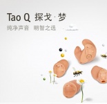 Tao Q 探戈梦