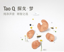 Tao Q 探戈梦